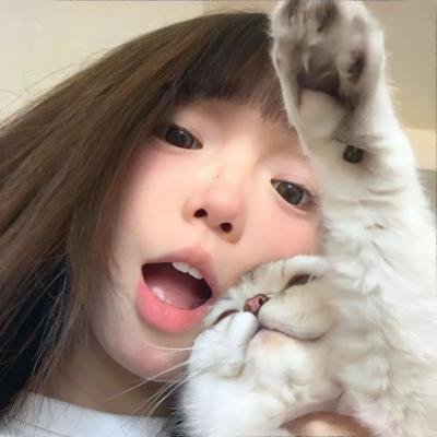 黑之契约者2:流星的双子